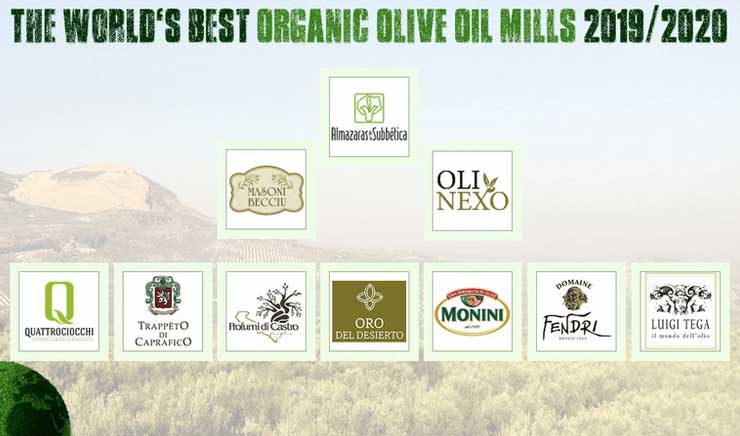 best-olive-1