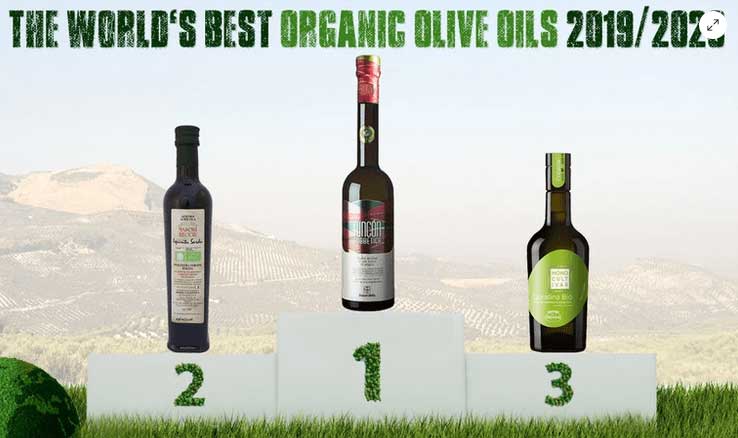 best-olive-4