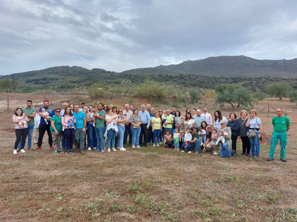 ‘Un nacimiento, un olivo’: tres años fomentando la conservación del olivo picudo y de la sociedad rural