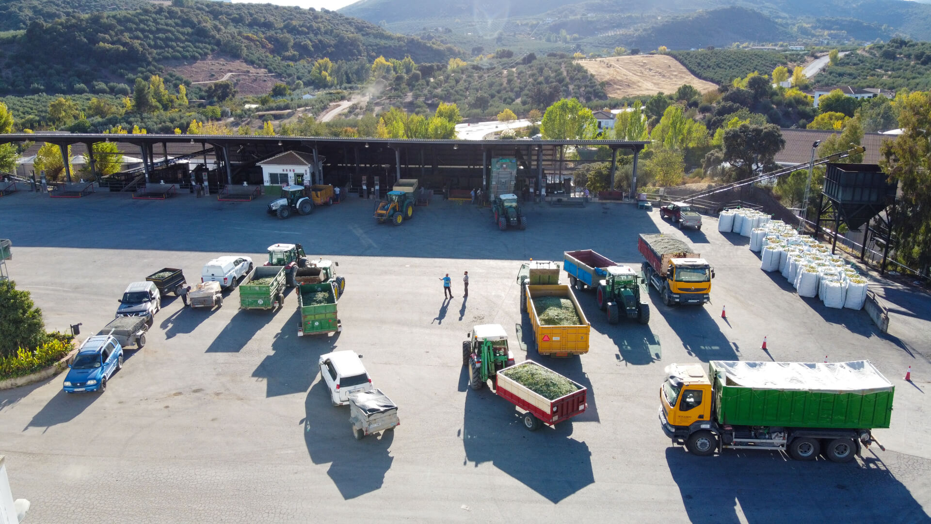 Almazara Día de Andalucía